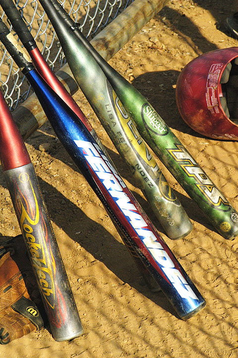 Softball Bat